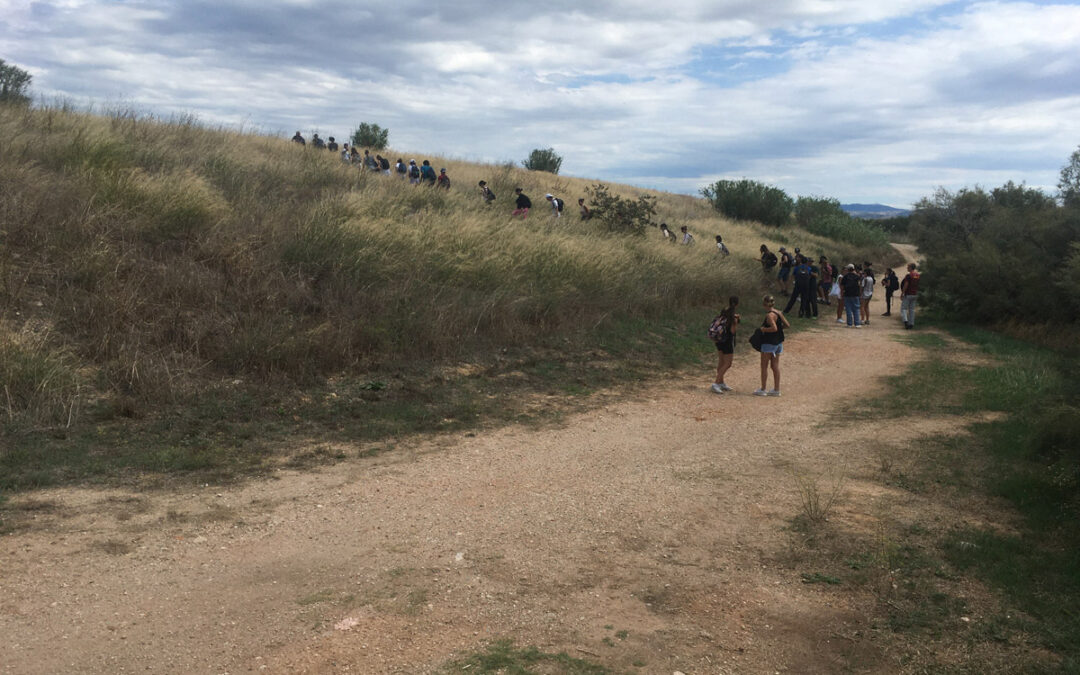 BAL(L)ADE EN PAYSAGE(S)