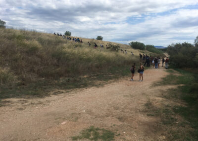 BAL(L)ADE EN PAYSAGE(S)