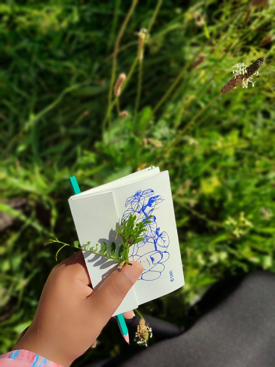 Croquer le paysage © collectif SAFI