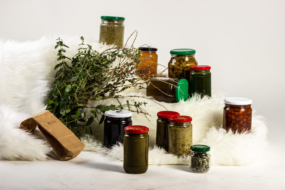 Cueillette-sauvage-©-Petr-Skripnikov