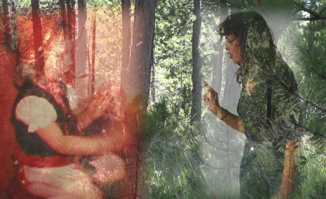 DE GRANDS YEUX ET OREILLES