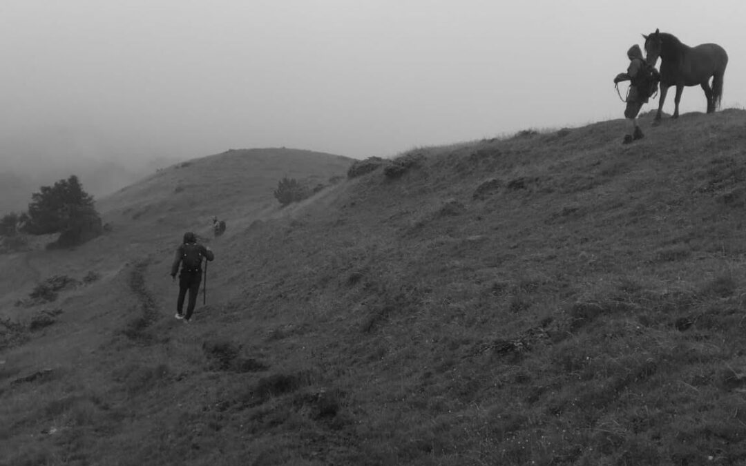 DES PAYSAGES NOUS HABITENT