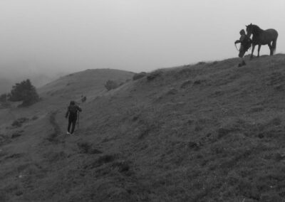 DES PAYSAGES NOUS HABITENT