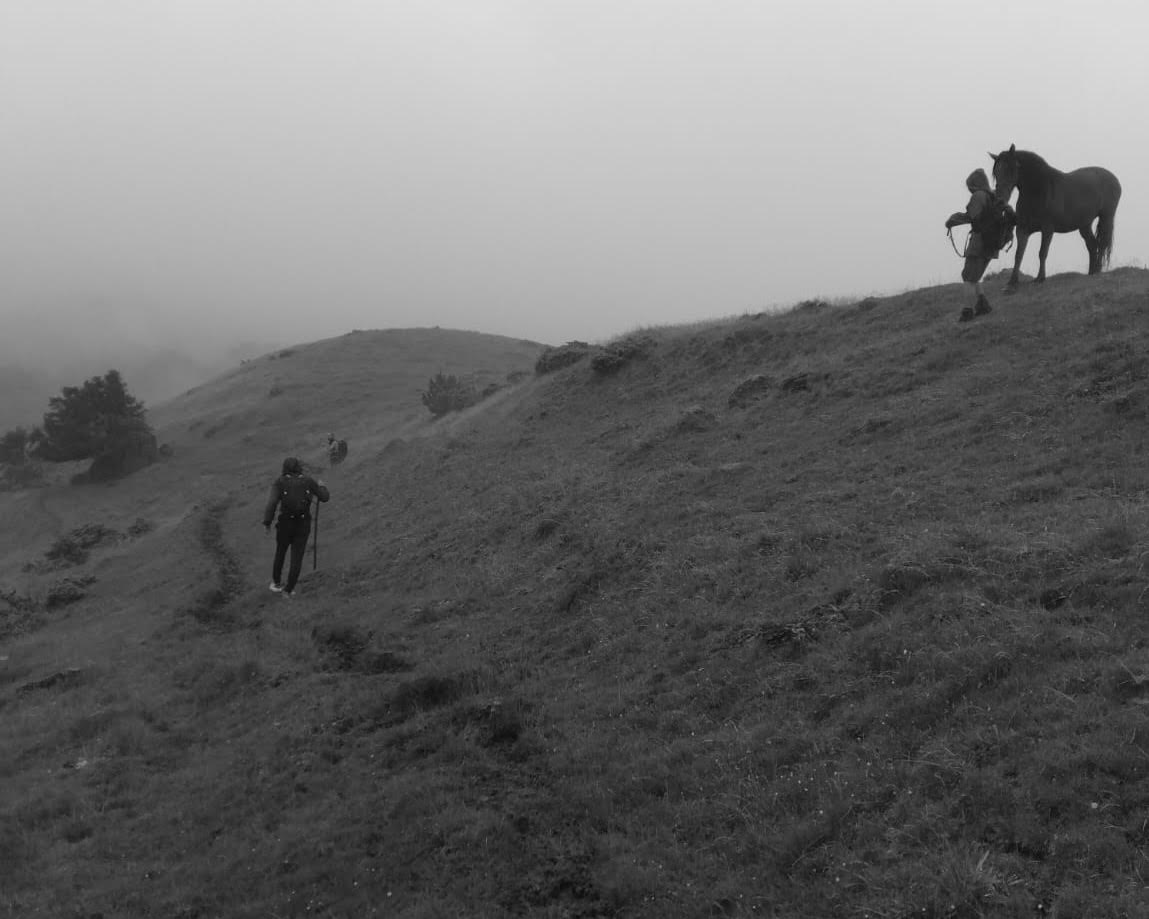 Des paysages nous habitent © Lise Lacanaud