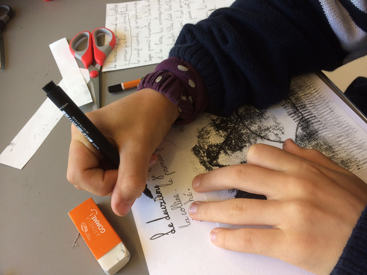 Ecris-ton-scénarion-fourmi-!-©-Octopode