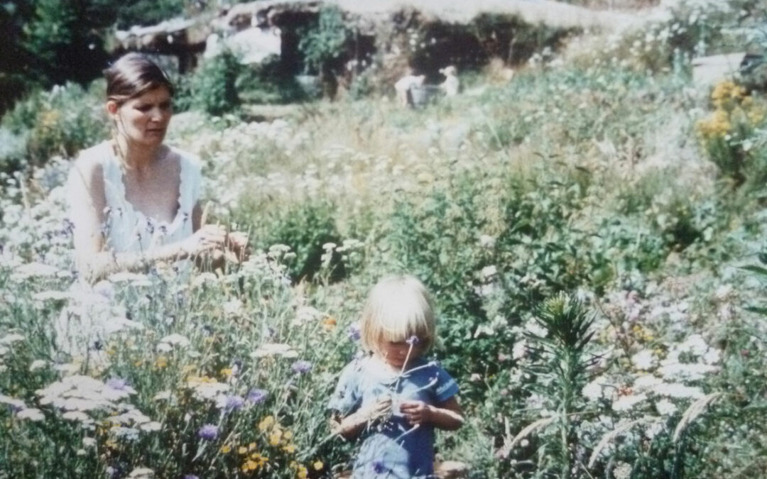 FLORE DE BIBLIOTHÈQUE