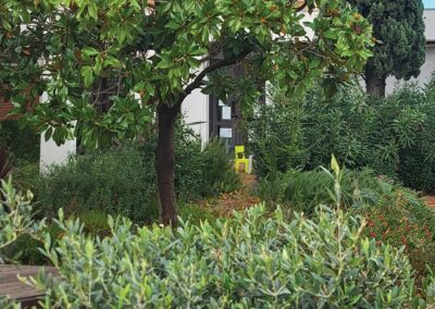 Il était une fois, sur le chemin un jardin