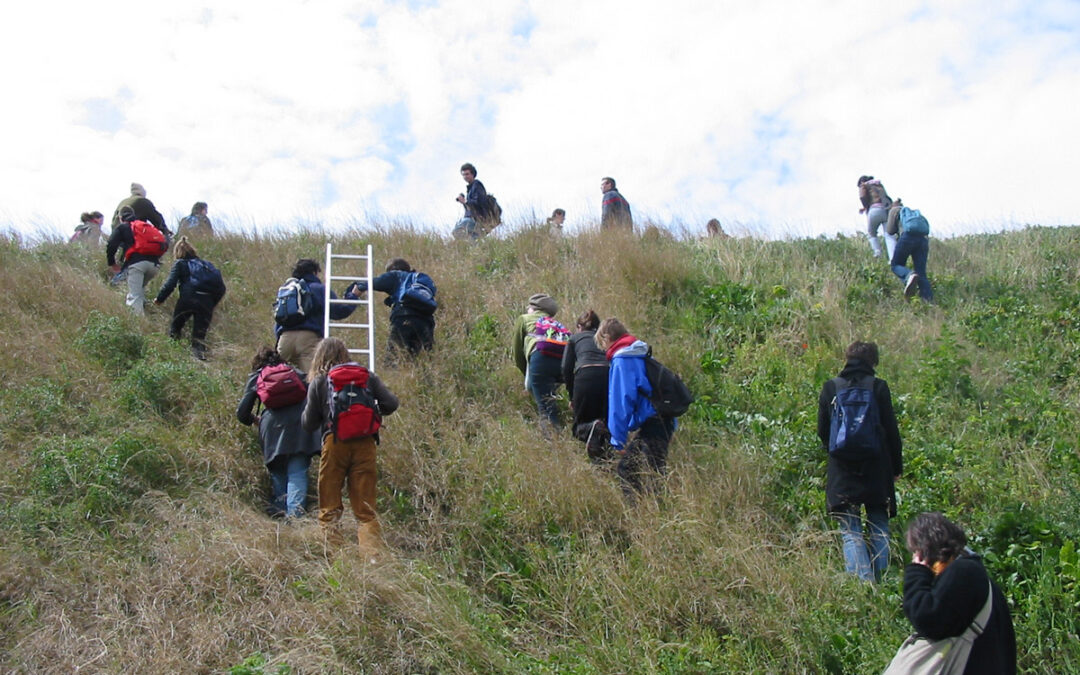 J’ai cheminé dans les bibliothèques