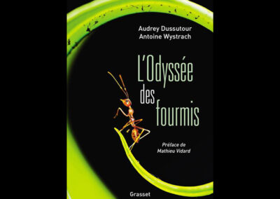 L’ODYSSÉE DES FOURMIS