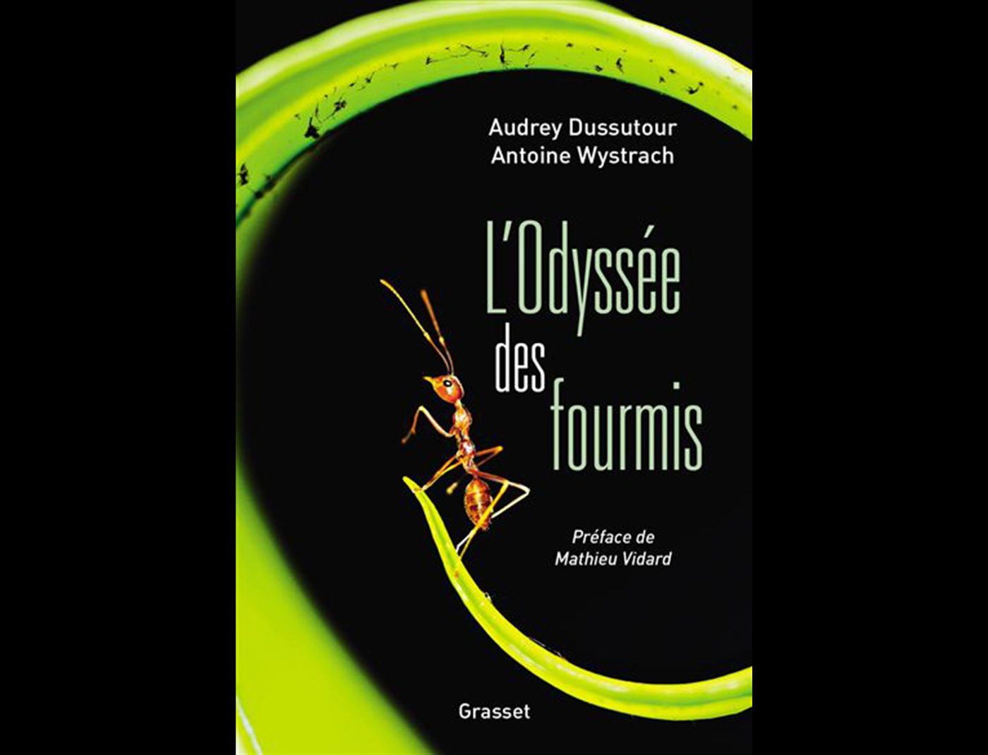 L’Odyssée des fourmis © DR