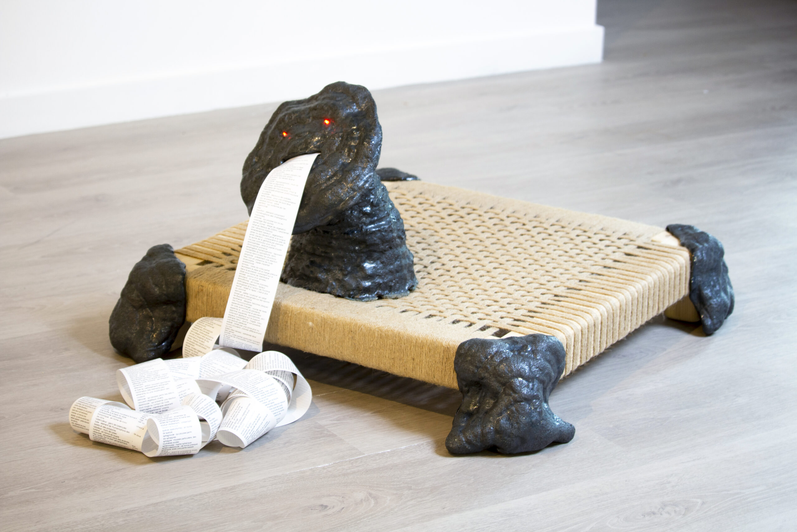 La Mythoscience des champignons © Mathilde Nicol