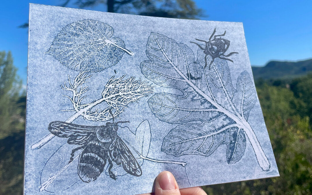 PLANTES ET PETITES BÊTES À&nbsp;IMPRIMER