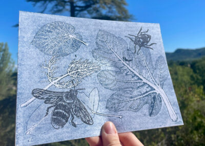 PLANTES ET PETITES BÊTES À IMPRIMER