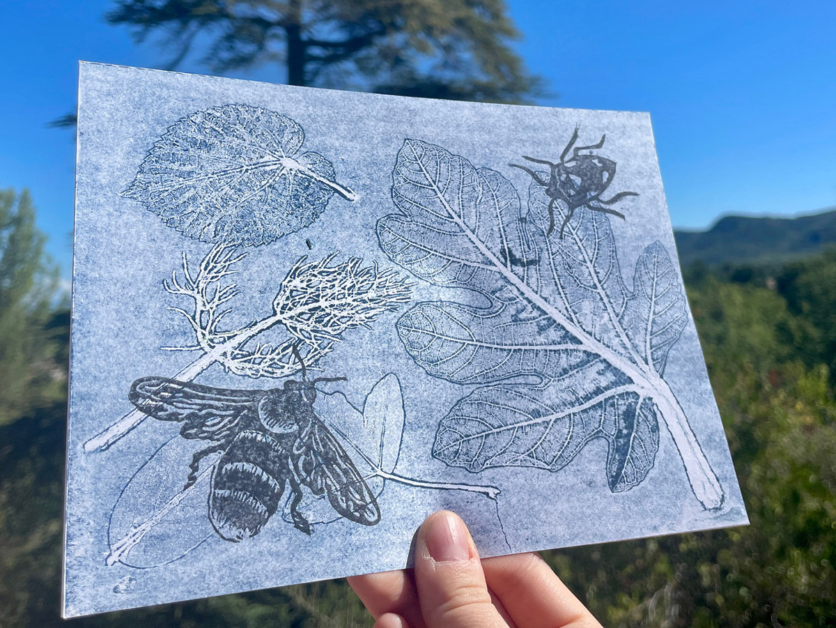 Plantes-et-petites-bêtes‑à-imprimer-©-Anne-Périer