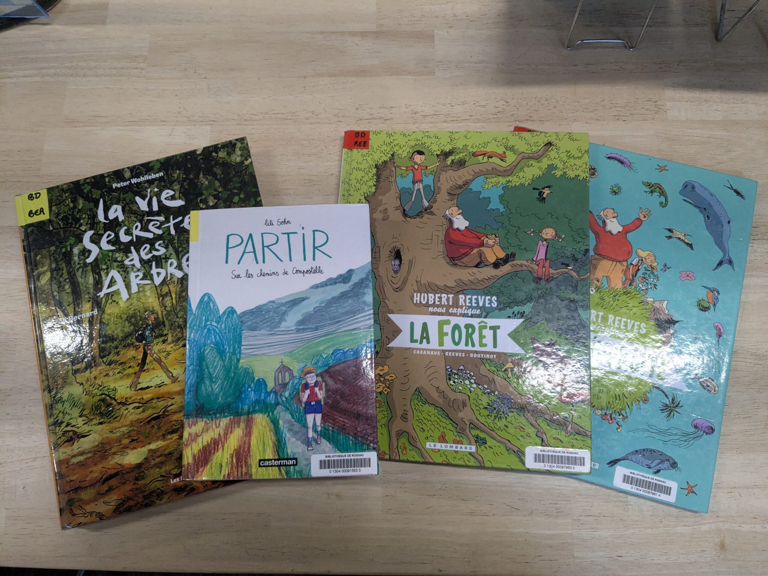 Se promener sans bouger © DR