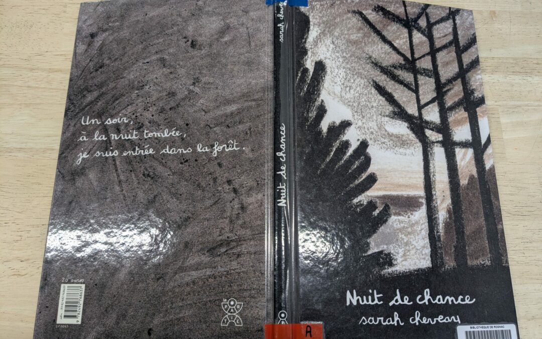 «&nbsp;Un jour une œuvre d’art&nbsp;»&nbsp;: sur mon chemin