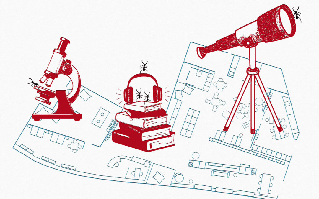 VOYAGEUSES INVISIBLES, UN TRAVAIL DE FOURMIS